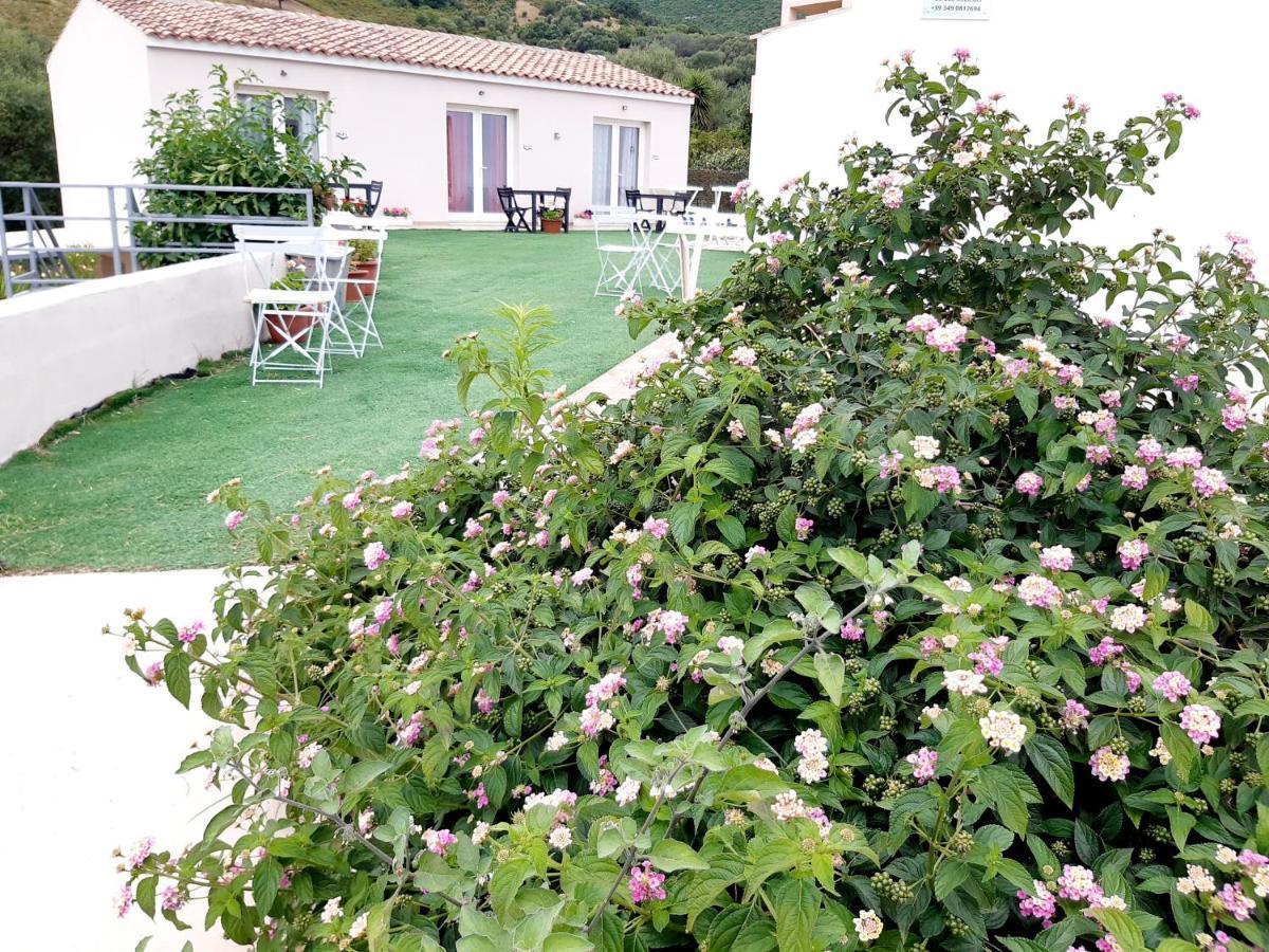 Bed and Breakfast Sole E Sale 2 San Teodoro  Exterior foto